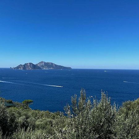 Apartment Don Luigino - Capri View By Interhome Massa Lubrense Dış mekan fotoğraf