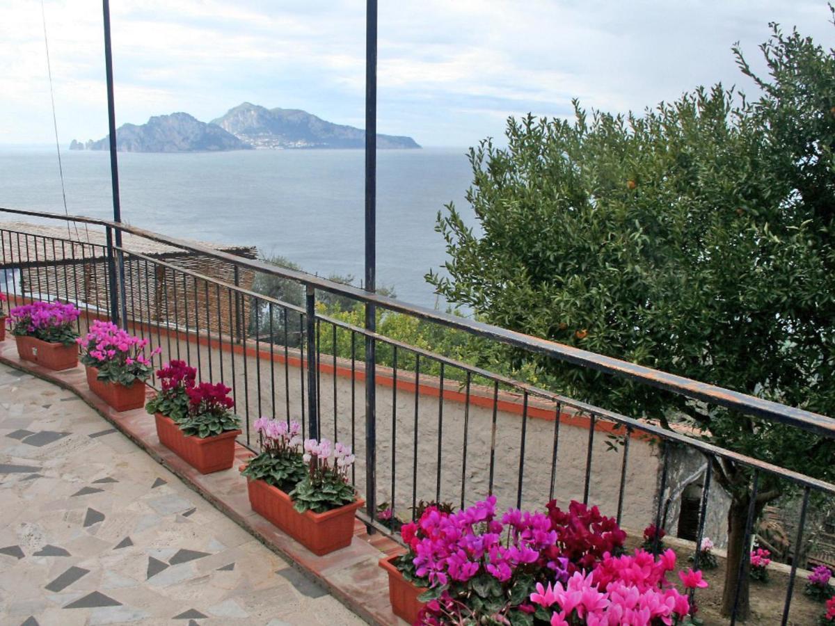 Apartment Don Luigino - Capri View By Interhome Massa Lubrense Dış mekan fotoğraf