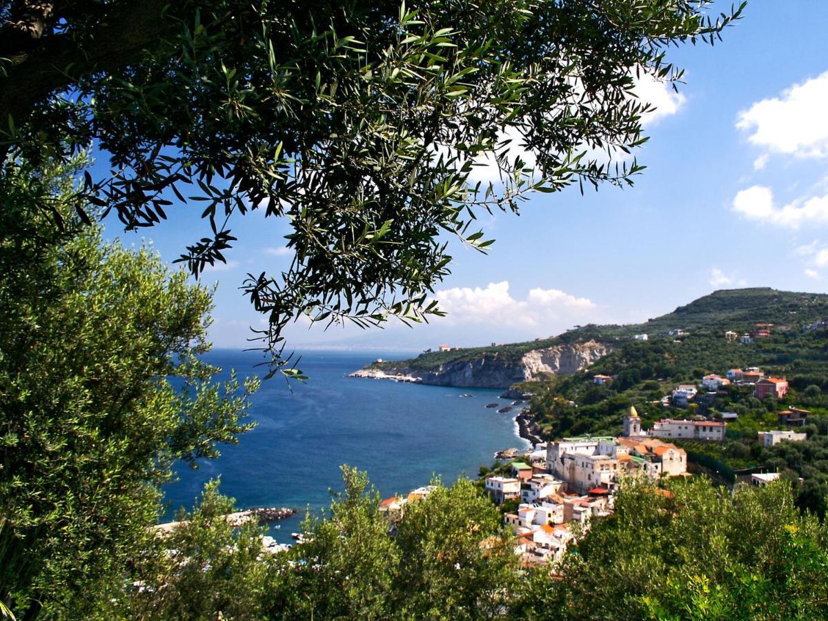 Apartment Don Luigino - Capri View By Interhome Massa Lubrense Dış mekan fotoğraf